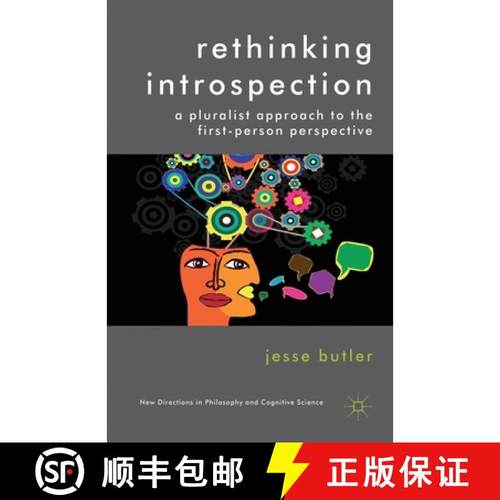 【3-4周达】Rethinking Introspection: A Pluralist Approach to the First-Person Perspective [9781349447671]