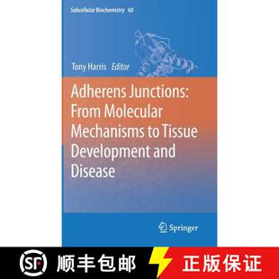 Adherens 9789400741850 Disease 4周达 Tissue From Junctions and Molecular Development Mechanisms