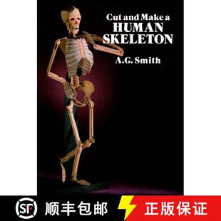 预订 Cut and Make a Human Skeleton [9780486261249]