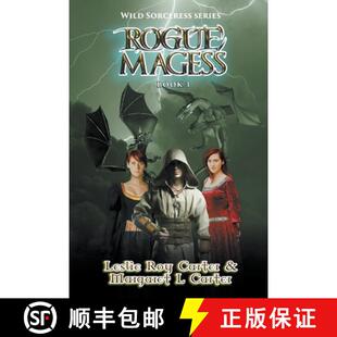 Magess Rogue 3周达 9798201569501
