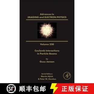 Volume Theory Calculation Relativistic Focusing 230 Systems 9780443297847 4周達(dá) Electrostatic and