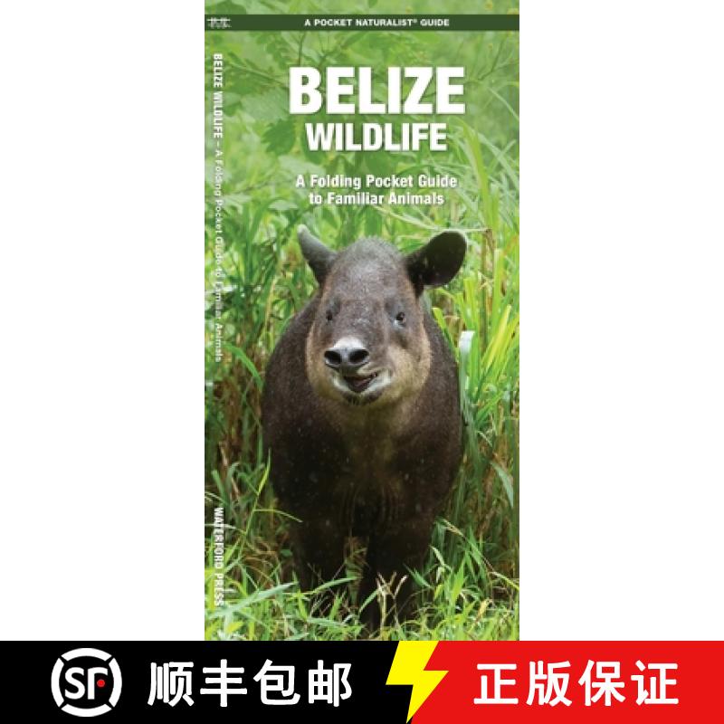 预订 Belize Wildlife: A Folding Pocket Guide to Familiar Animals [9781583558676]