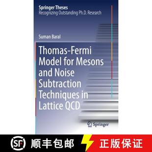 4周达 Model Fermi Mesons Techniques Lattice Subtraction Thomas Noise and 9783030309039 QCD for