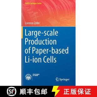 Paper Production based Cells Large ion 4周达 9783319390154 scale