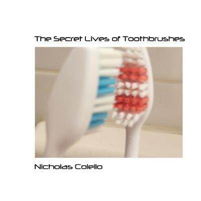 【4周达】The Secret Lives of Toothbrushes [9780557137572]