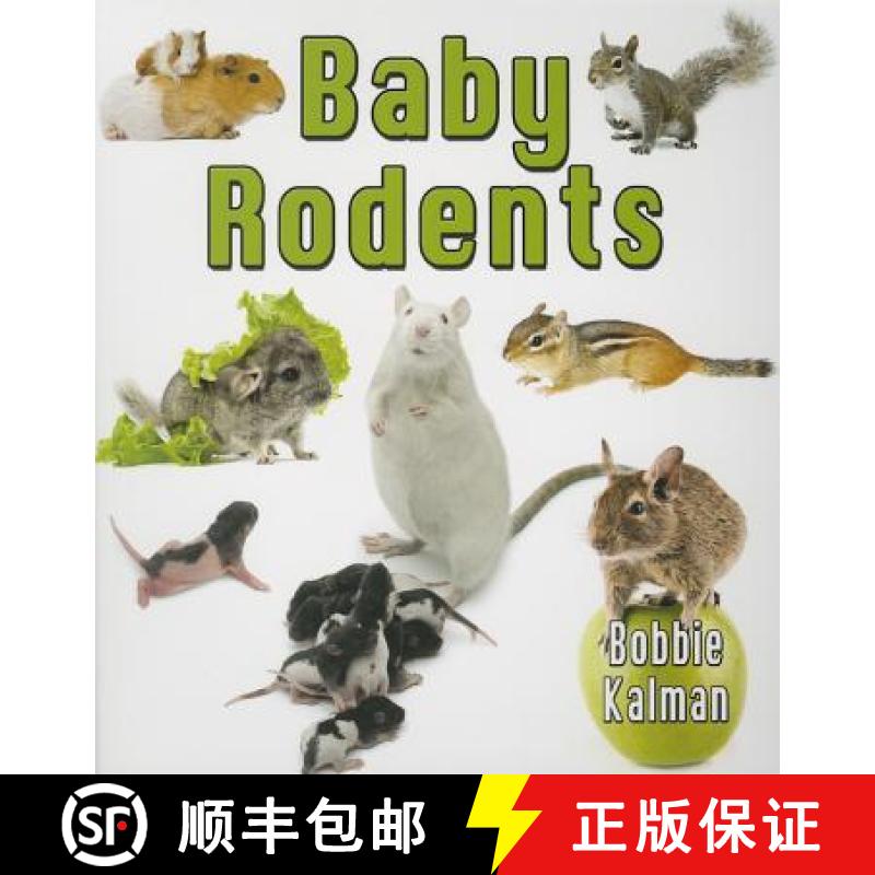 【3-4周达】Baby Rodents [9780778710141]