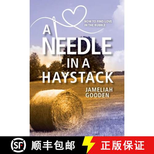 【3-4周达】精装 A Needle in a Haystack: How to Find Love in the Rubble [9781954614710]
