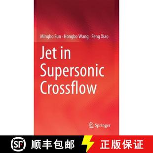 Jet 4周达 Supersonic 9789811360244 Crossflow