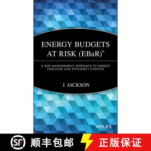 【3-4周达】精装 Energy Budgets At Risk (Ebar): A Risk Management Approach To Energy Purchase And Effi... [9780470197677]