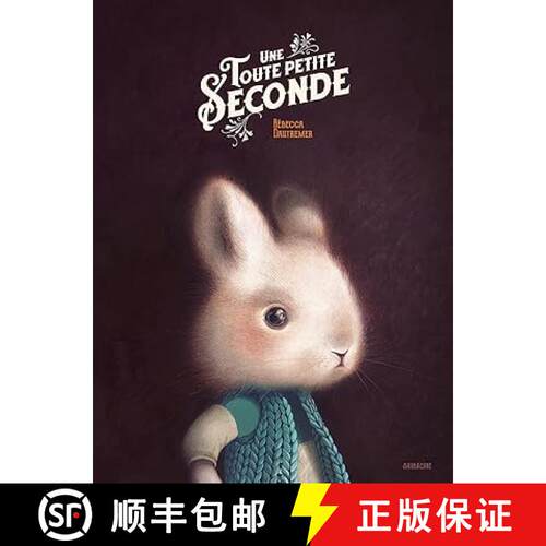 精装 Une toute petite seconde [9782377316717]