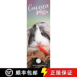 【3-4周达】Guinea Pigs Slim Calendar 2026 [9781529847673]