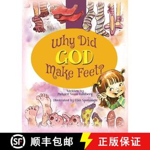 Why Did God Feet? 3周达 Make 9781498498067