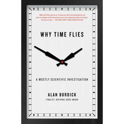 【4周达】时间为何飞逝 Why Time Flies: A Mostly Scientific Investigation [9781416540281]