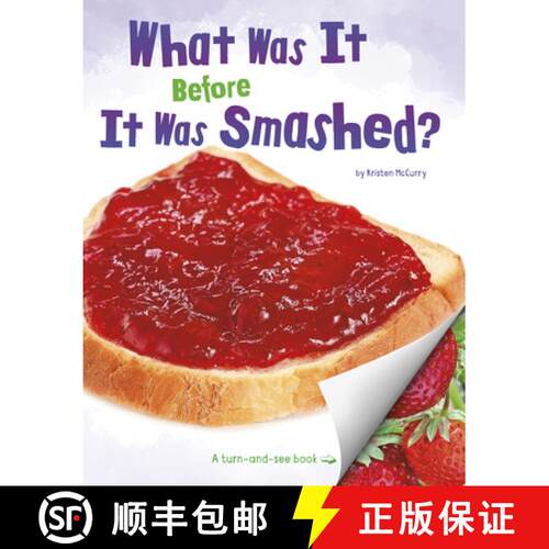 预订 精装 What Was It Before It Was Smashed? [9781977113337]