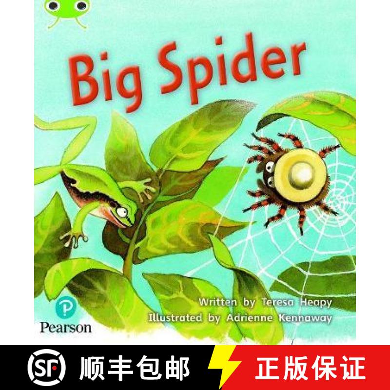 【2-3周达】Bug Club Phonics Fiction Year 1 Phase 5 Unit 27 Big Spider [9781292395388]