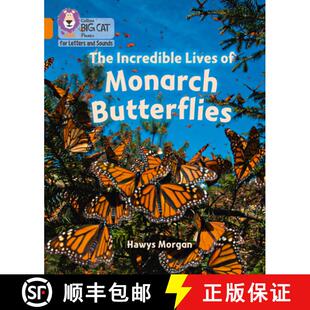 9780008442408 Incredible Monarch Butterflies 4周达 Lives Orange Band