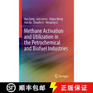 and the Industries Methane Biofuel 4周达 9783030884260 Activation Petrochemical Utilization