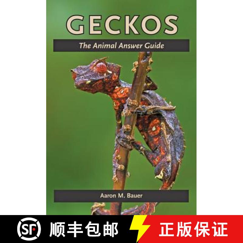 【3-4周达】Geckos: The Animal Answer Guide [9781421408538]