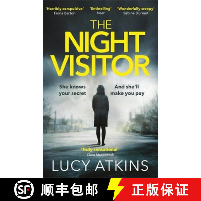 【3-4周达】Night Visitor: the gripping thriller from the author of Magpie Lane [9781784293246]