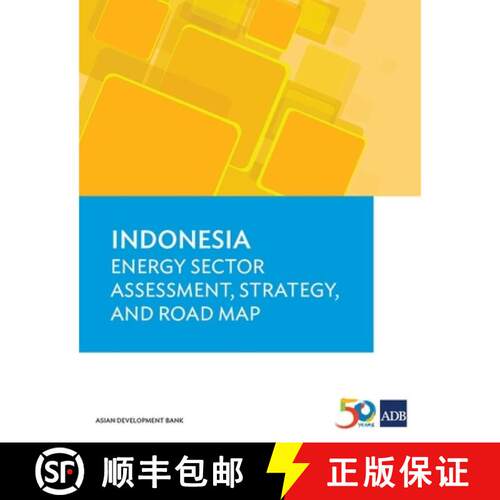 【3-4周达】Indonesia – Energy Sector Assessment, Strategy, and Road Map [9789292575137]