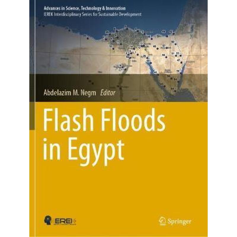 【4周达】Flash Floods in Egypt [9783030296377] 书籍/杂志/报纸 原版其它 原图主图