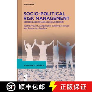 Insecurity Risk and Managing Assessing Political Management 9783111620428 预订 Global Socio