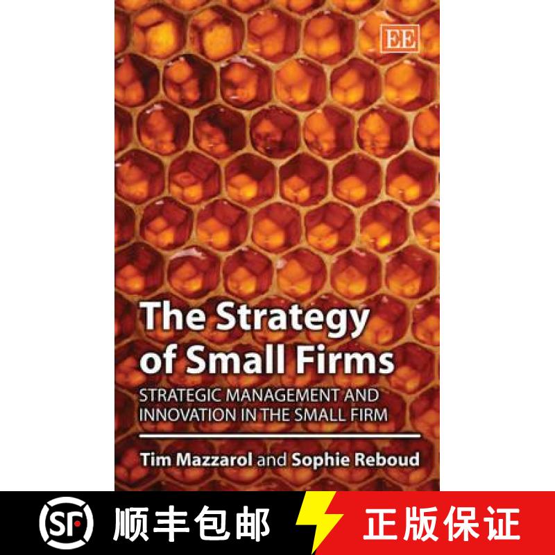 【3-4周达】Strategy of Small Firms: Strategic Management and Innovation in the Small Firm: Strategic ... [9781843764175]
