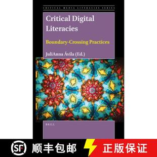 Critical Digital Practices 9789004467026 Crossing 4周达 Boundary Literacies