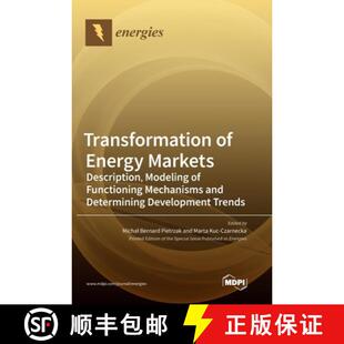 Transformation 9783036554532 Dete... Modeling 3周达 Functioning Energy and Markets Mechanisms Description
