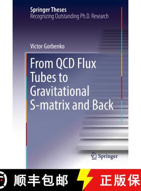 【3-4周达】From QCD Flux Tubes to Gravitational S-matrix and Back (1st ed. 2017) (1st ed. 2017) [9783319446028]