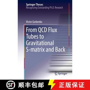 【3-4周达】From QCD Flux Tubes to Gravitational S-matrix and Back (1st ed. 2017) (1st ed. 2017) [9783319446028]