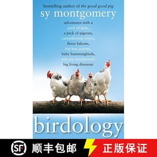 Fierce Adventures Pack 预订 Hens Crows Falcon... Cantankerous with Pigeons Peck 9781416569848 Birdology