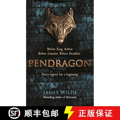 【3-4周达】Pendragon : A Novel of the Dark Age [9780857503213]