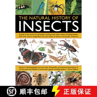 Insects Covering Natural Many Arthropods Guide Orde... the History World 3周达 9781844764686