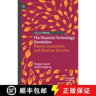 Theory Technology Innovation Streams The Revenue 4周达 9783031920479 Financial and Revolution