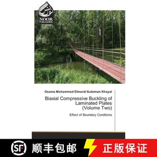 Plates Compressive 9786200779885 Two Volume Laminated Buckling Biaxial 预订