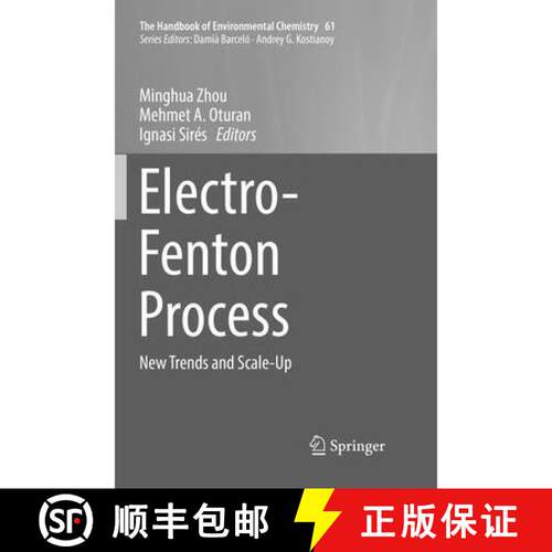 【3-4周达】Electro-Fenton Process : New Trends and Scale-Up [9789811348730]