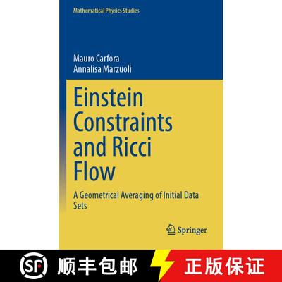 【3-4周达】Einstein Constraints and Ricci Flow : A Geometrical Averaging of Initial Data Sets [9789811985423]