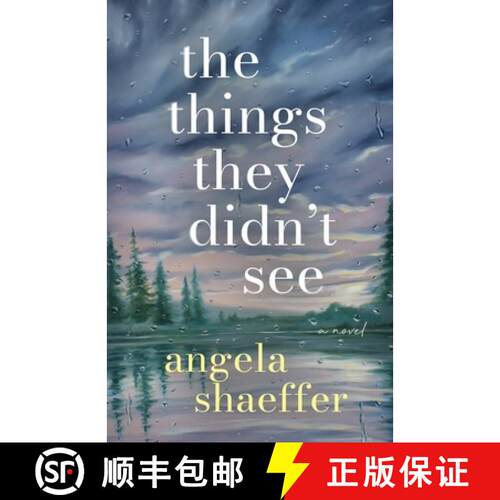 【3-4周达】The Things They Didn't See: A Novel [9798992825213]
