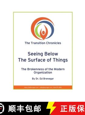 预订 Seeing Below The Surface of Things: The Brokenness of the Modern Organization [9781735065670]