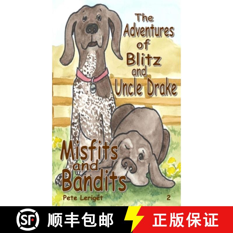 【3-4周达】Misfits and Bandits [9781733312226]