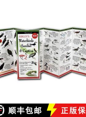 【3-4周达】Sibley's Waterbirds of Sanibel & Captiva [9781621262404]