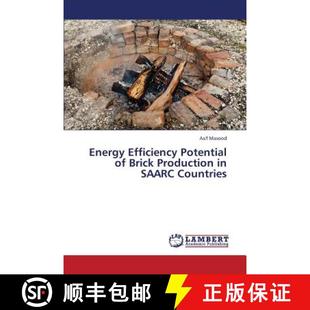 Countries Potential Production Brick Efficiency 9783659150692 预订 Saarc Energy