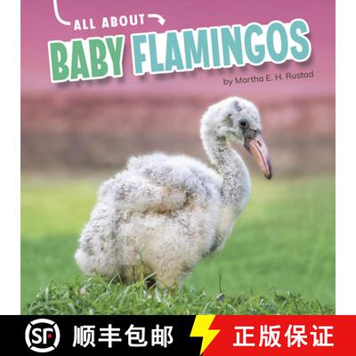 预订 精装 All about Baby Flamingos [9781663907875]