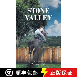 Stone 9781662469367 Valley 2010 November 预订