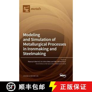 Metallurgical Simulation Processes Steelmaking Modeling Ironmaking 3周达 9783036551531 and