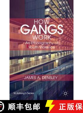 【3-4周达】How Gangs Work: An Ethnography of Youth Violence [9781137271501]
