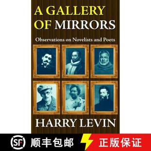 Observations Poets and 4周达 9781138518209 Gallery Novelists Mirrors