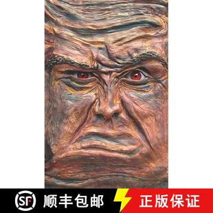 Land 4周达 Enchanted 9781419647420 The