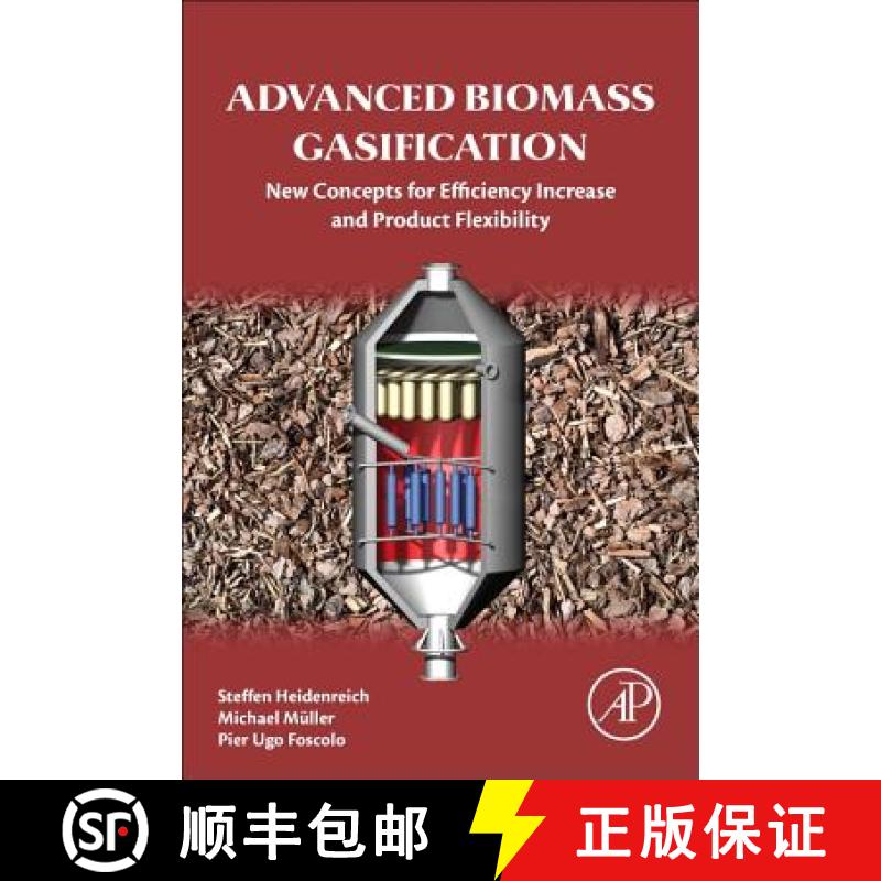 【3-4周达】Advanced Biomass Gasification: New Concepts for Efficiency Increase and Product Flexibility [9780128042960]